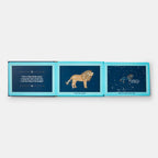 Animals In The Sky Board Book