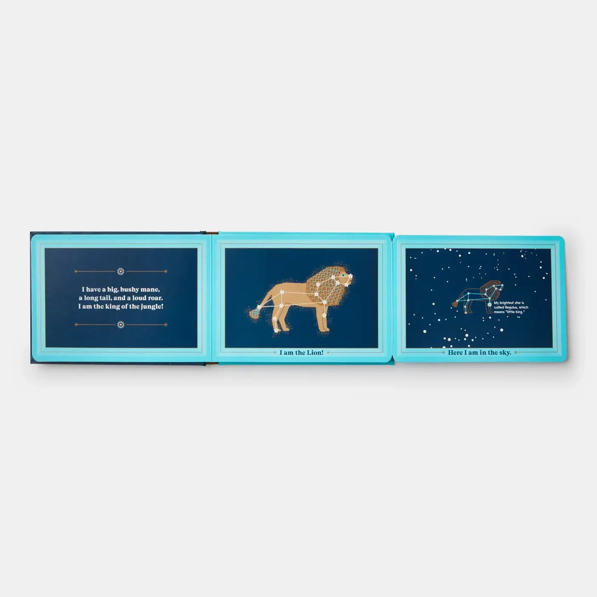 Animals In The Sky Board Book