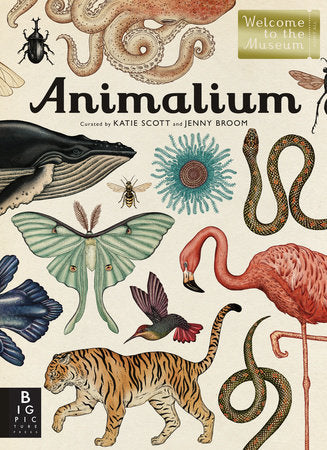 Animalium (Welcome to the Museum)