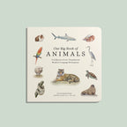 Our Big Board Book of Animals