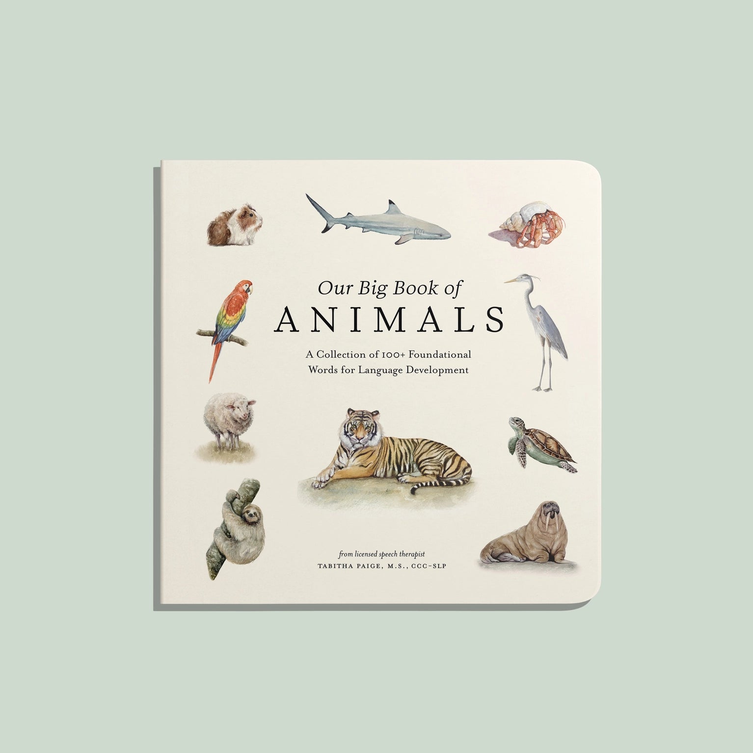 Our Big Board Book of Animals
