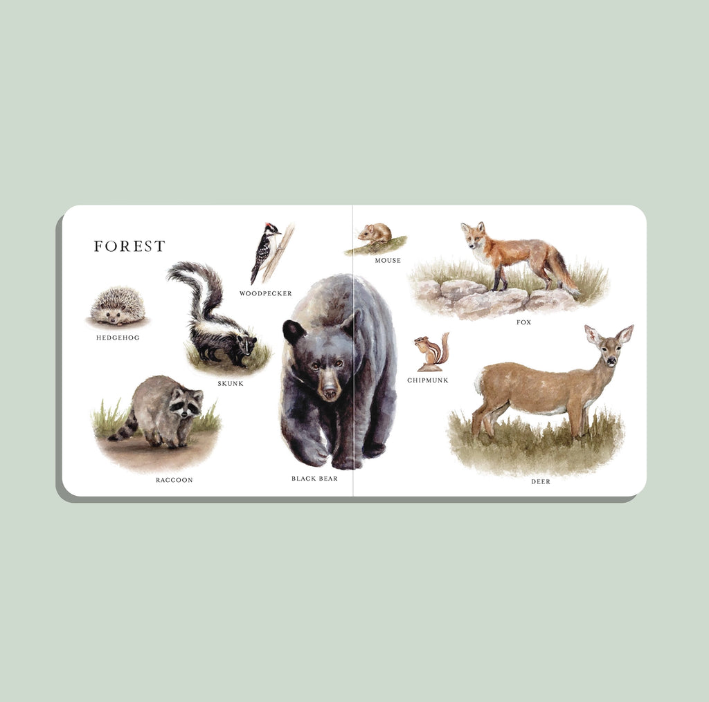 Our Big Board Book of Animals