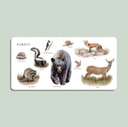 Our Big Board Book of Animals