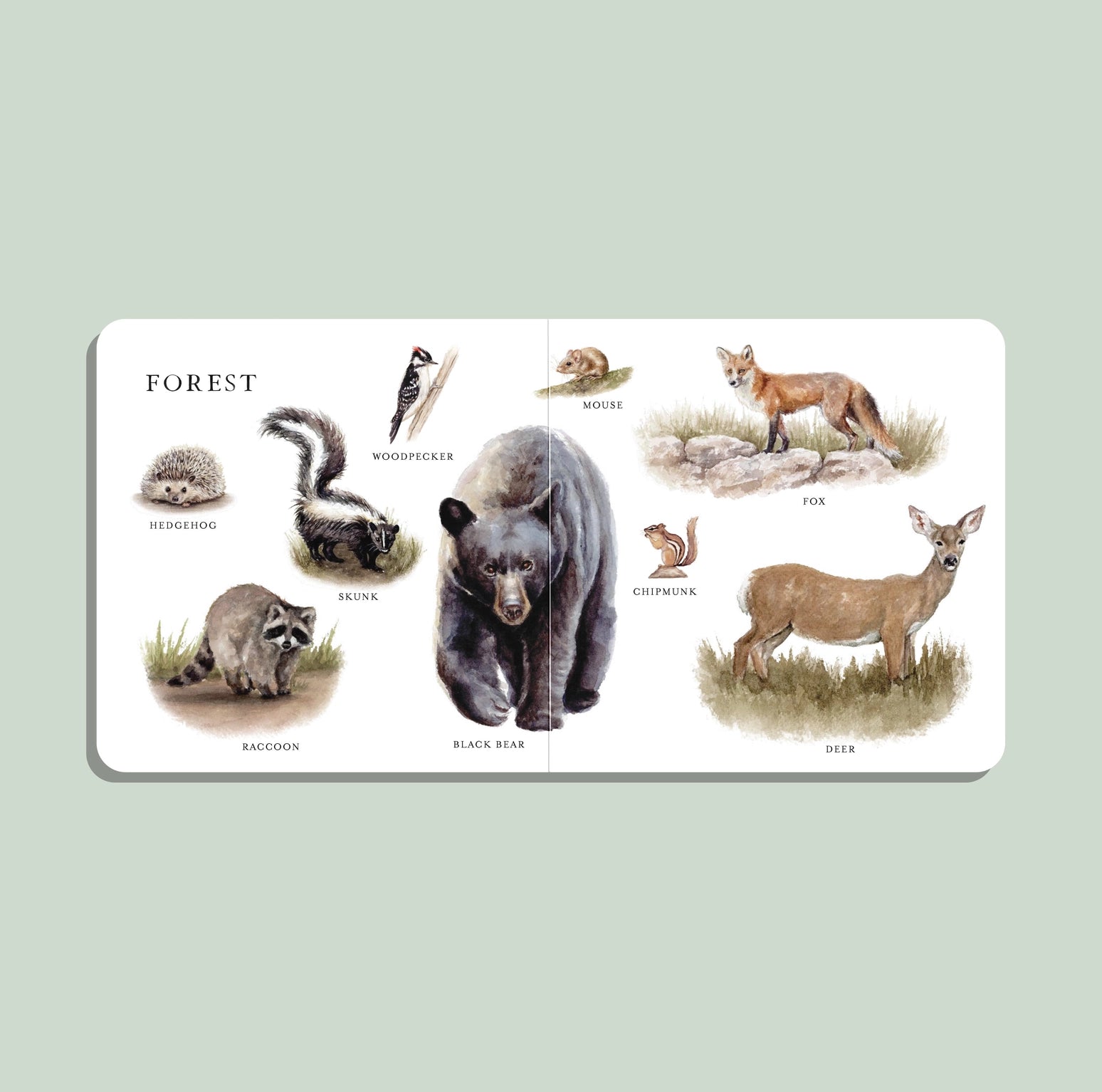 Our Big Board Book of Animals