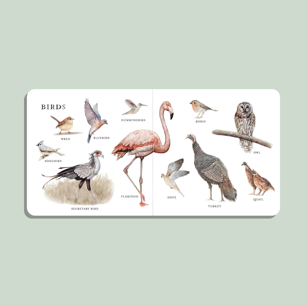 Our Big Board Book of Animals
