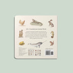 Our Big Board Book of Animals