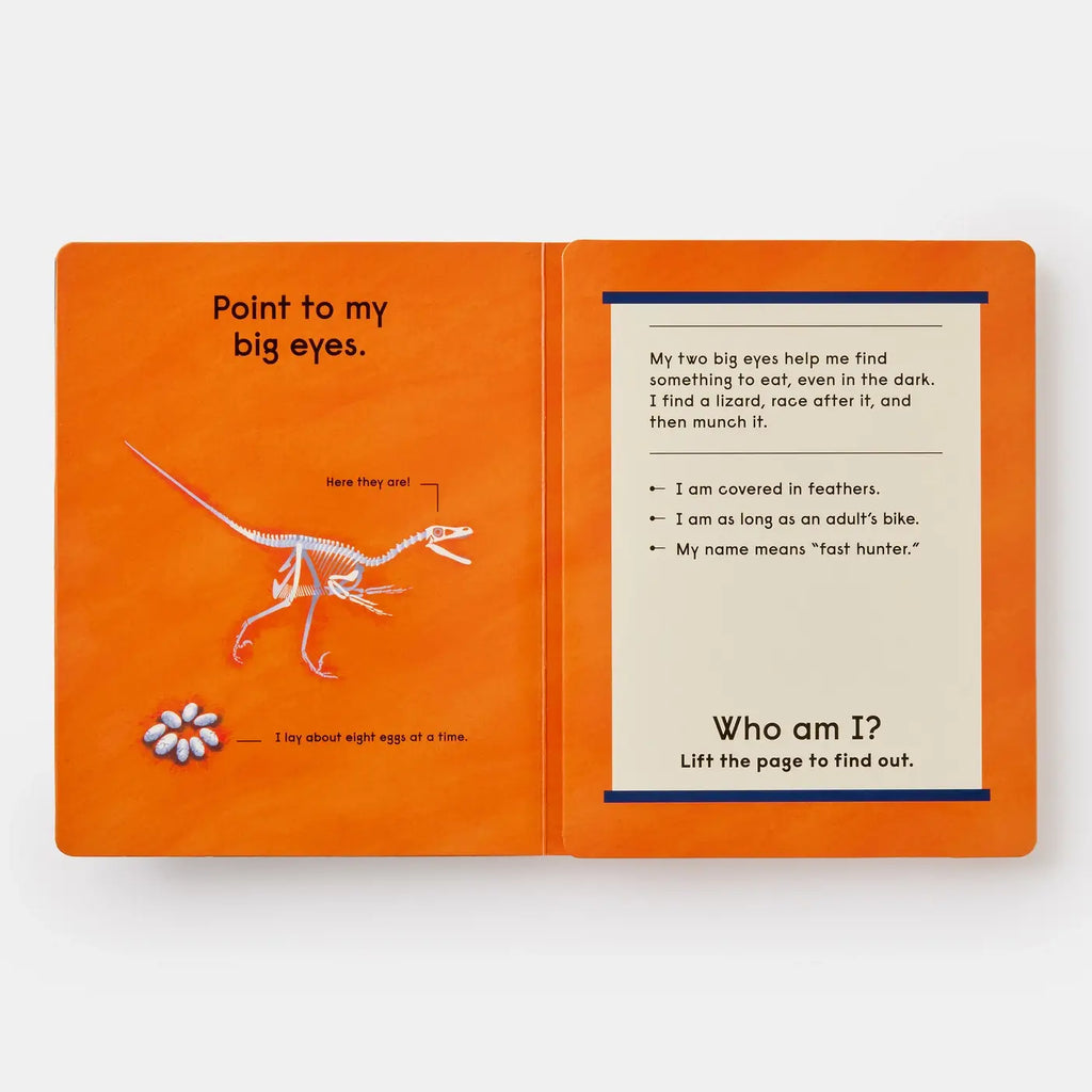 Who's That Dinosaur? Board Book