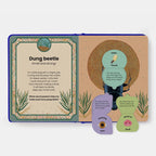 The Secret Powers Of Animals Board Book