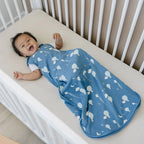 4 Season® Ultimate Baby Sleep Bag - Hot Air Balloons