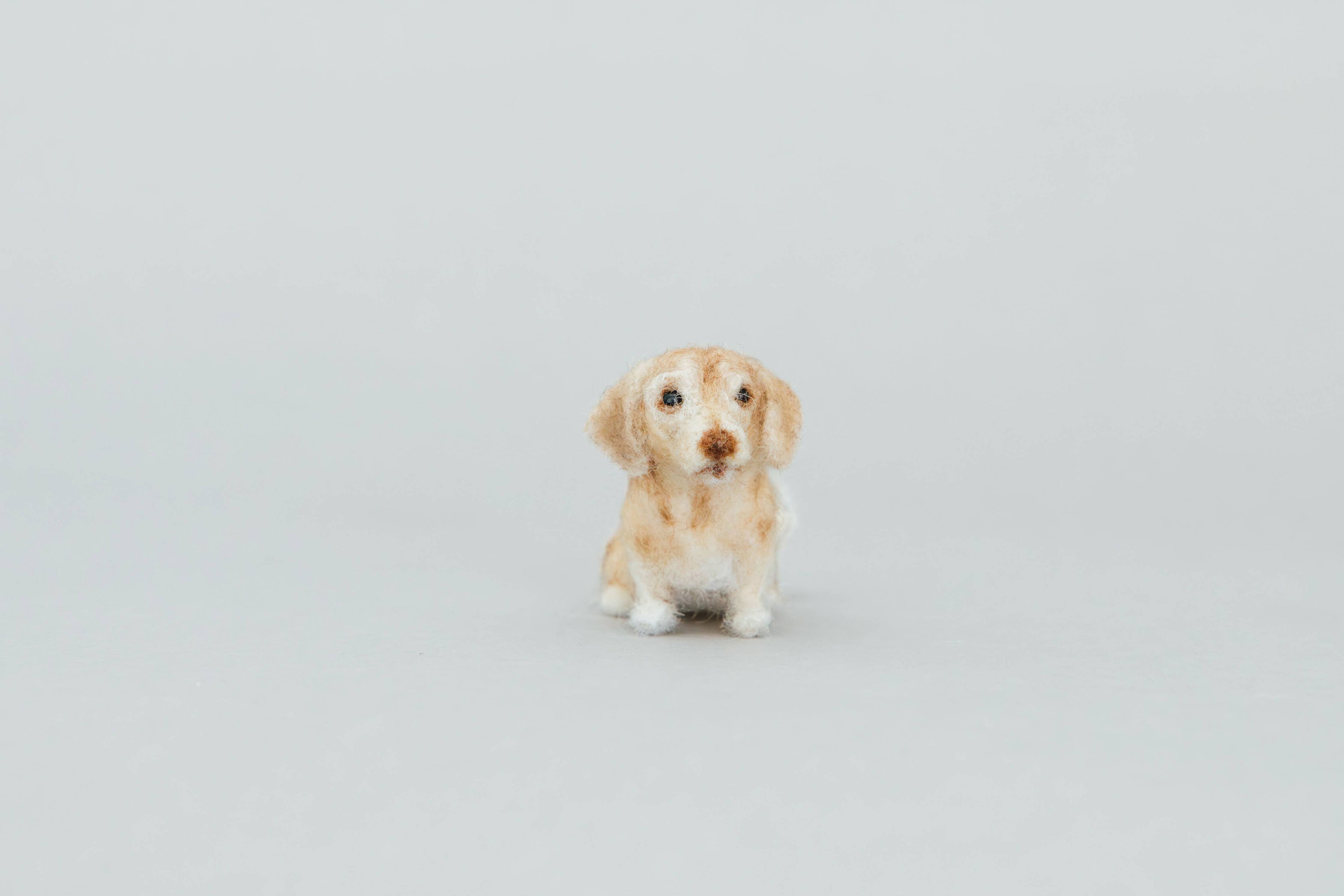 Little Felted Friends: Dachshund (A Needle-Felting Kit)