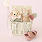 Blush Pink Baby Daisy