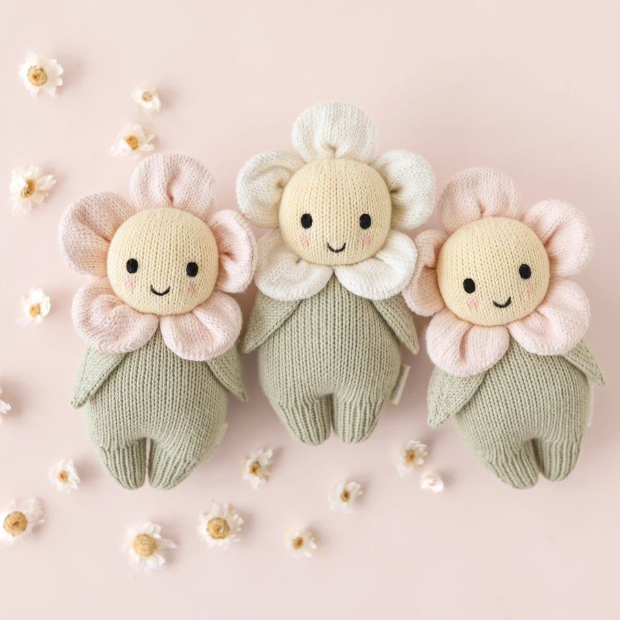 Blush Pink Baby Daisy