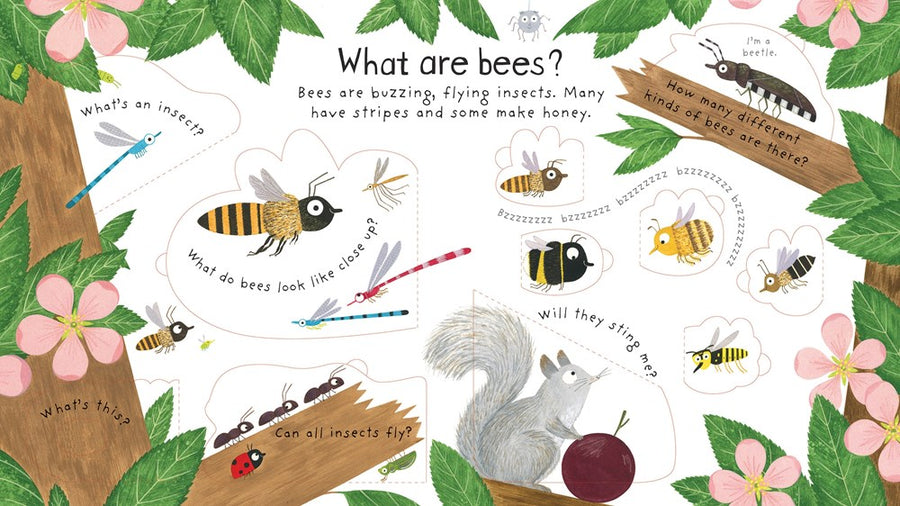 Why Do We Need Bees? Lift the Flap Board Book