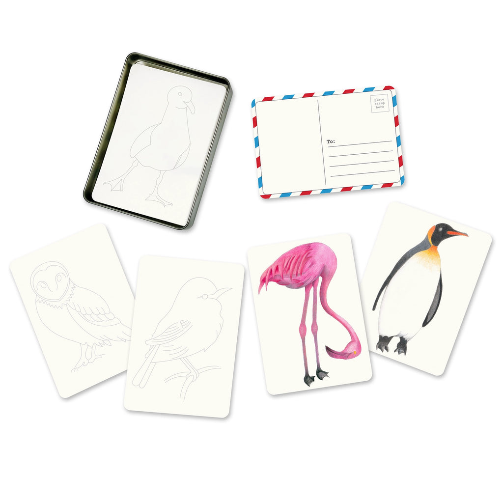 Birds Coloring Postcards - Set of 30