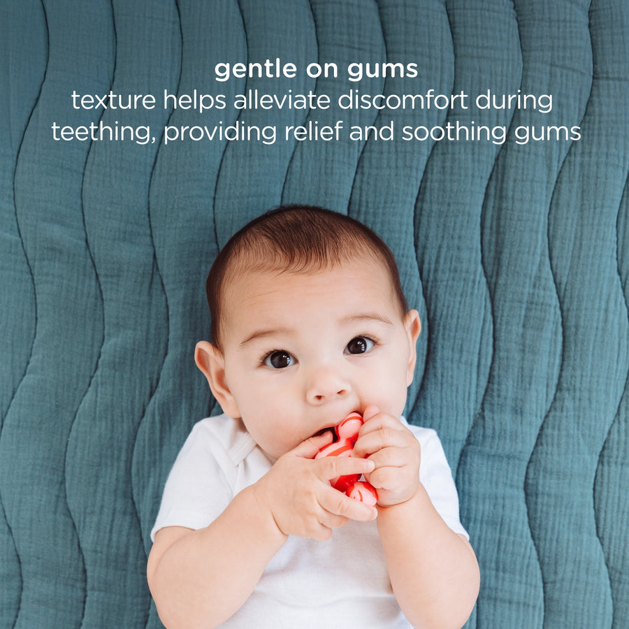 Joinibbles Silicone Teether Toy - Blue