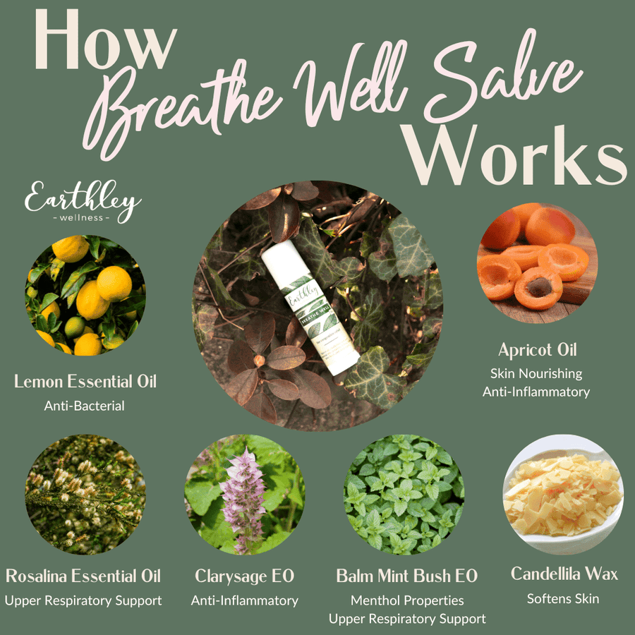 Beeswax Breathe Well Salve
