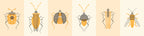 Stamp Bugs Set