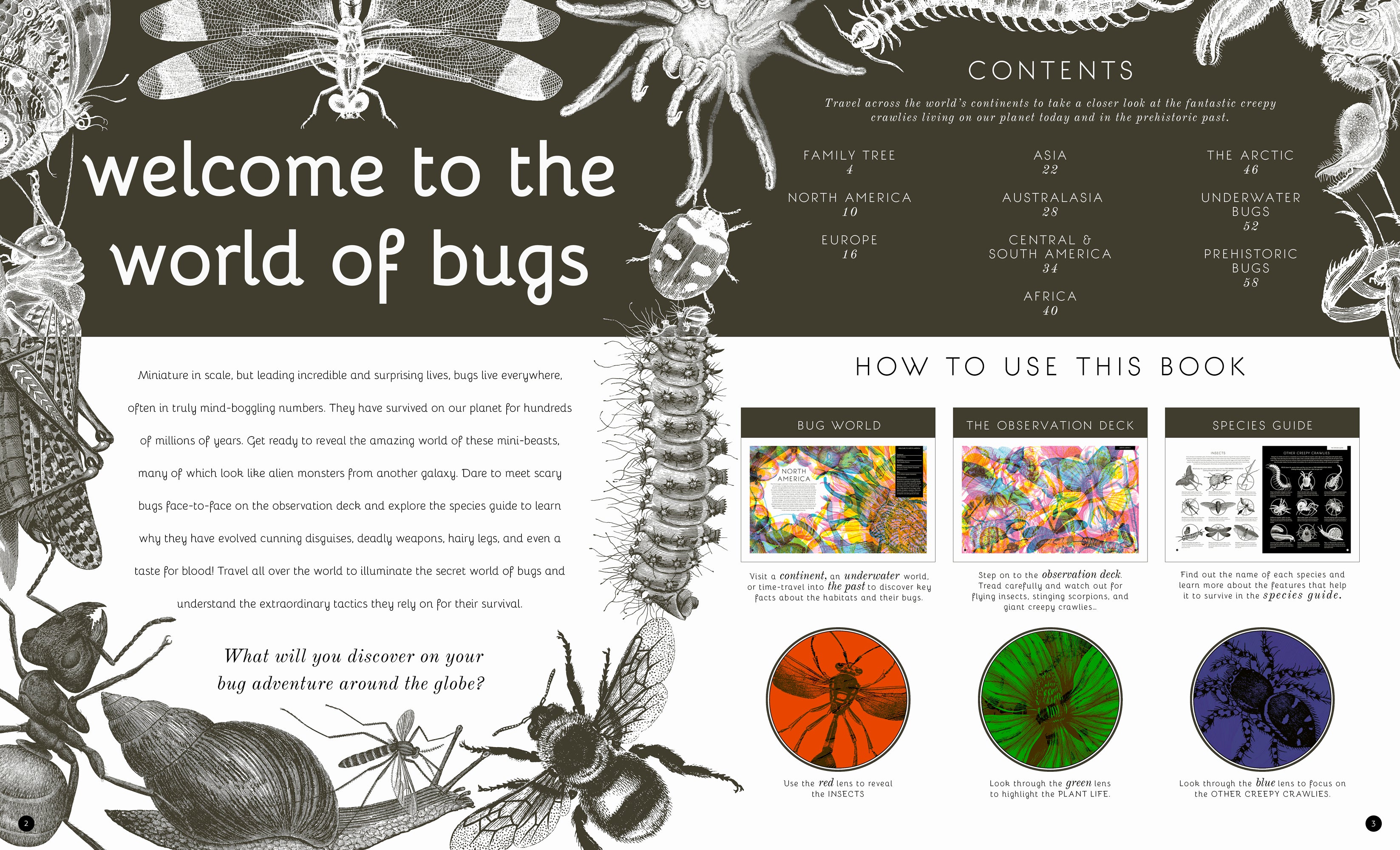 Illumibugs