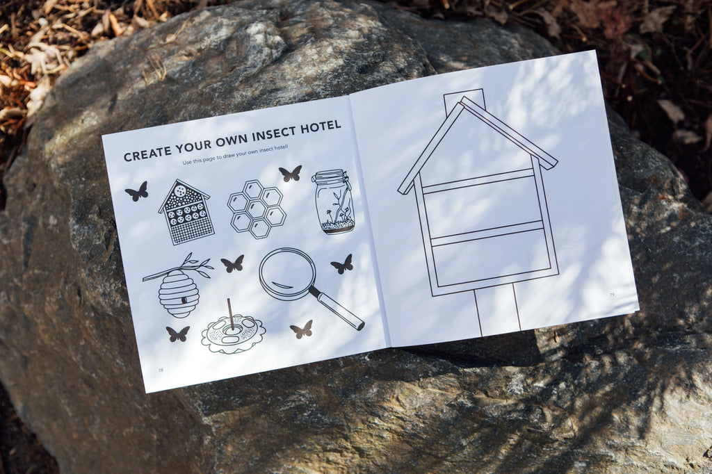 Bugs: How to Draw Books for Kids