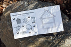 Bugs: How to Draw Books for Kids