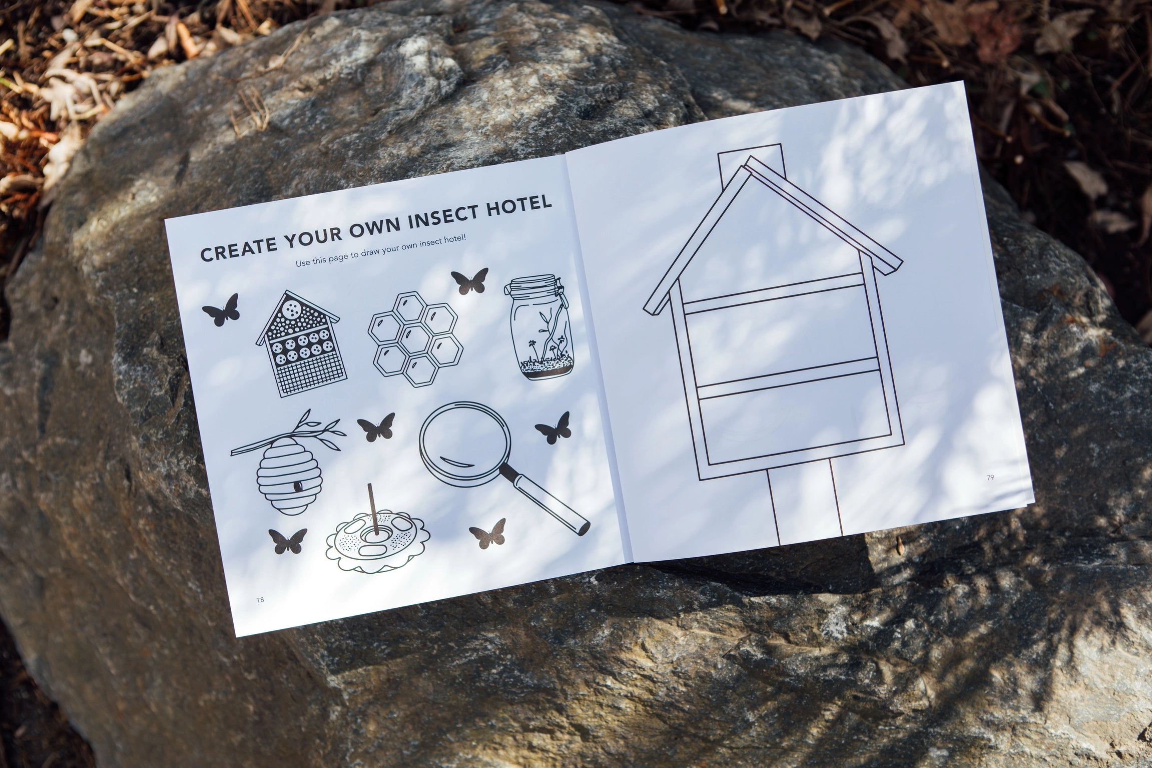 Bugs: How to Draw Books for Kids
