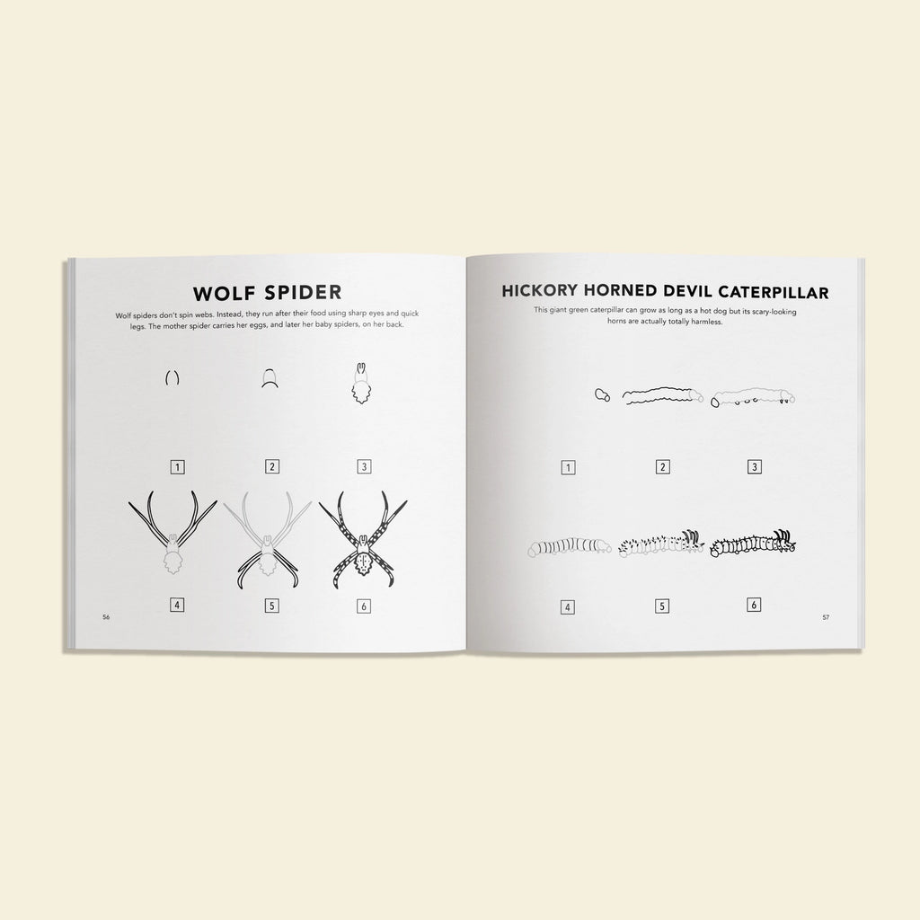 Bugs: How to Draw Books for Kids