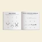 Bugs: How to Draw Books for Kids