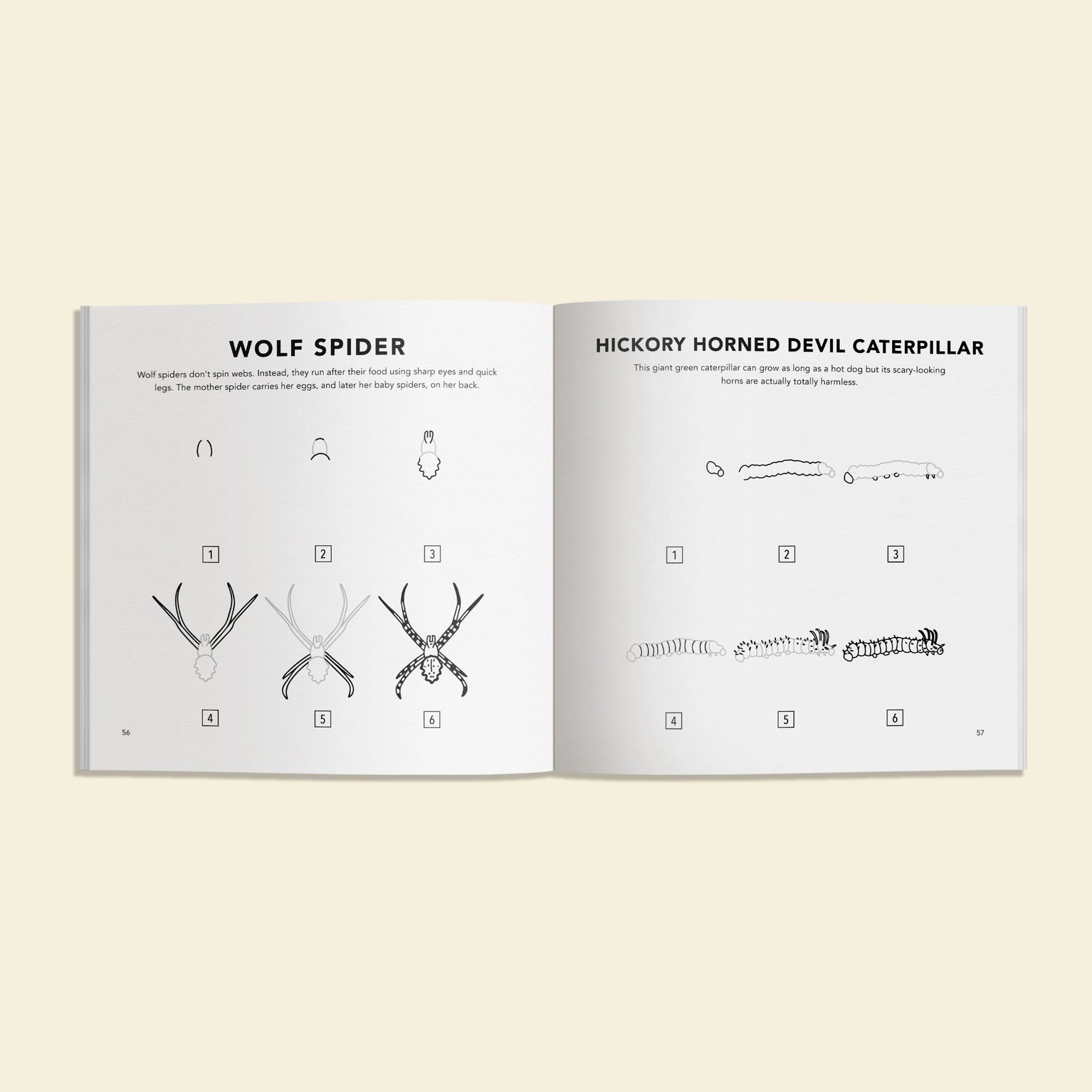 Bugs: How to Draw Books for Kids