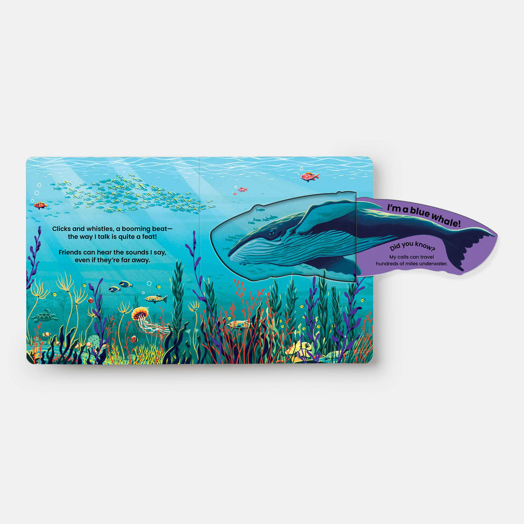 WHO'S HIDING? Under the Sea: A Lift-the-Flap Book