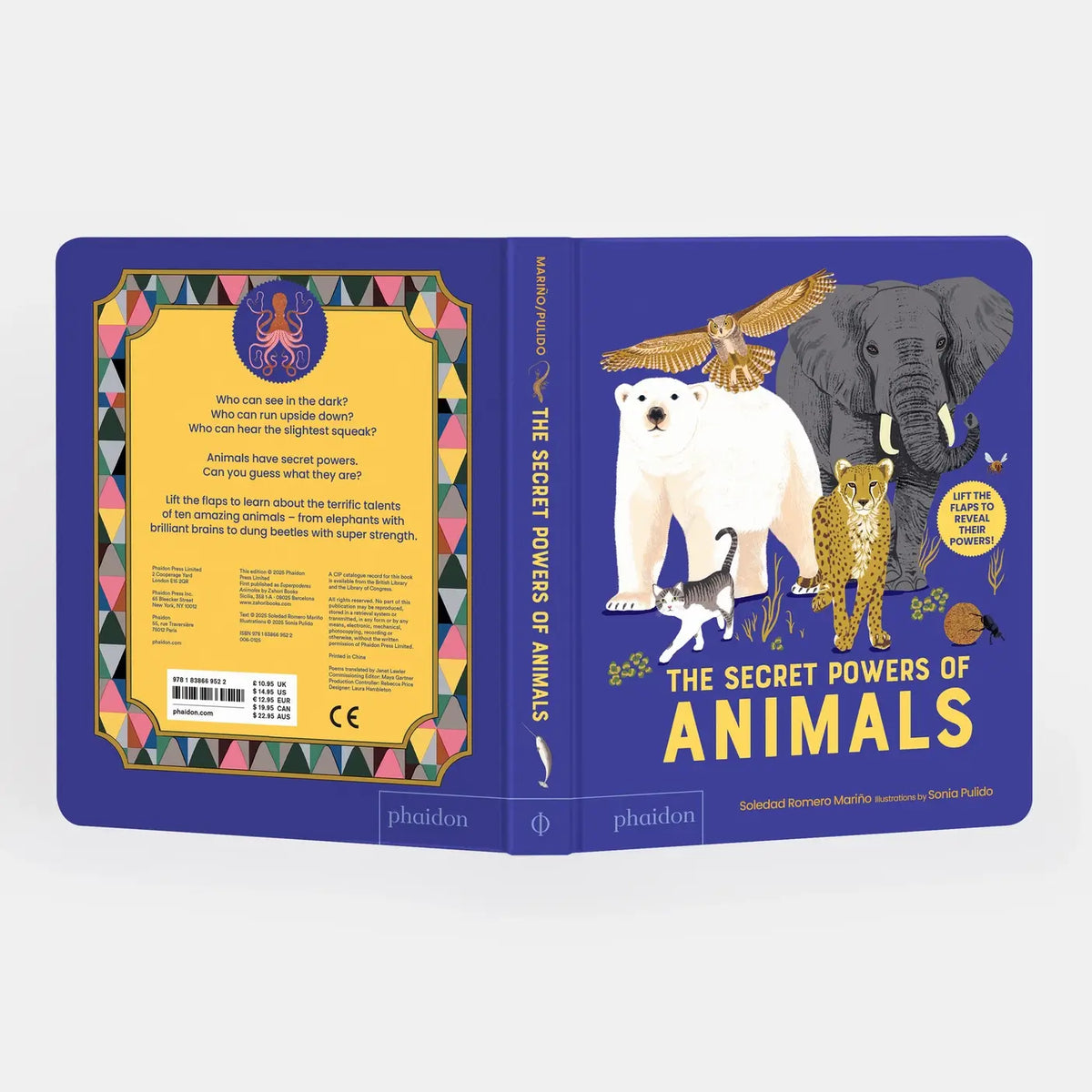 The Secret Powers Of Animals Board Book