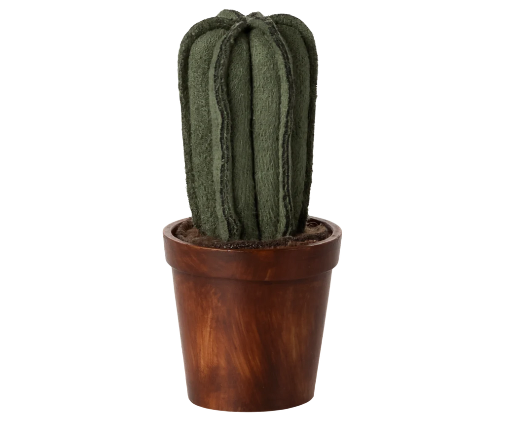 Flower Pot with Cactus