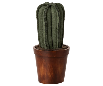Flower Pot with Cactus
