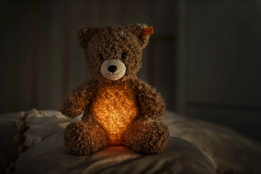 Light At Night Caspar Teddy Bear