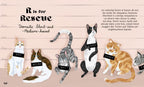 Catphabet : A Cat Alphabet