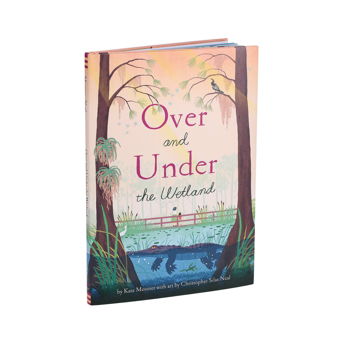 Over and Under the Wetland