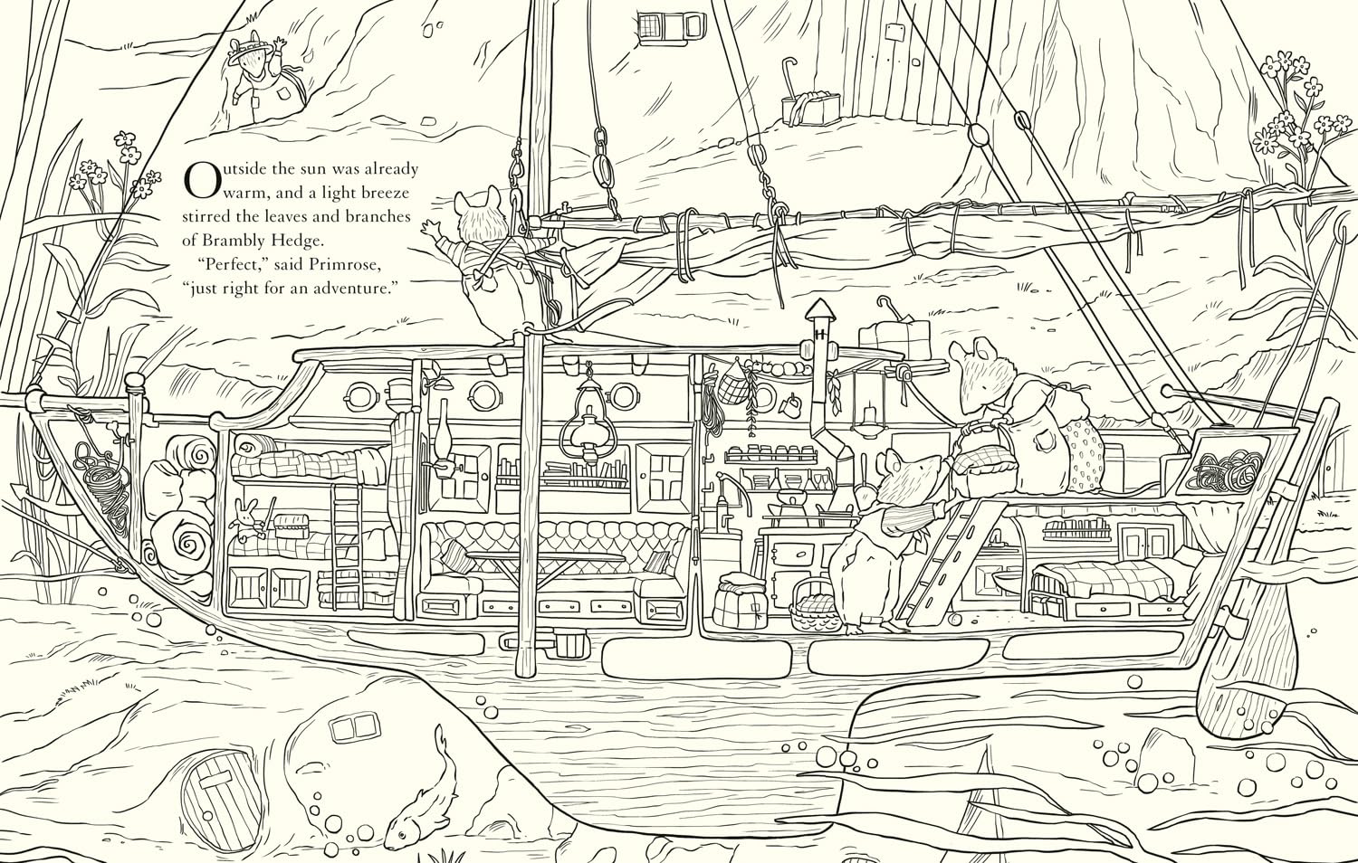 Brambly Hedge: Nature Coloring Book