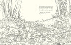 Brambly Hedge: Nature Coloring Book
