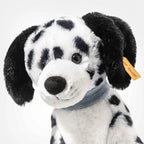 Oskar Dalmatian Dog