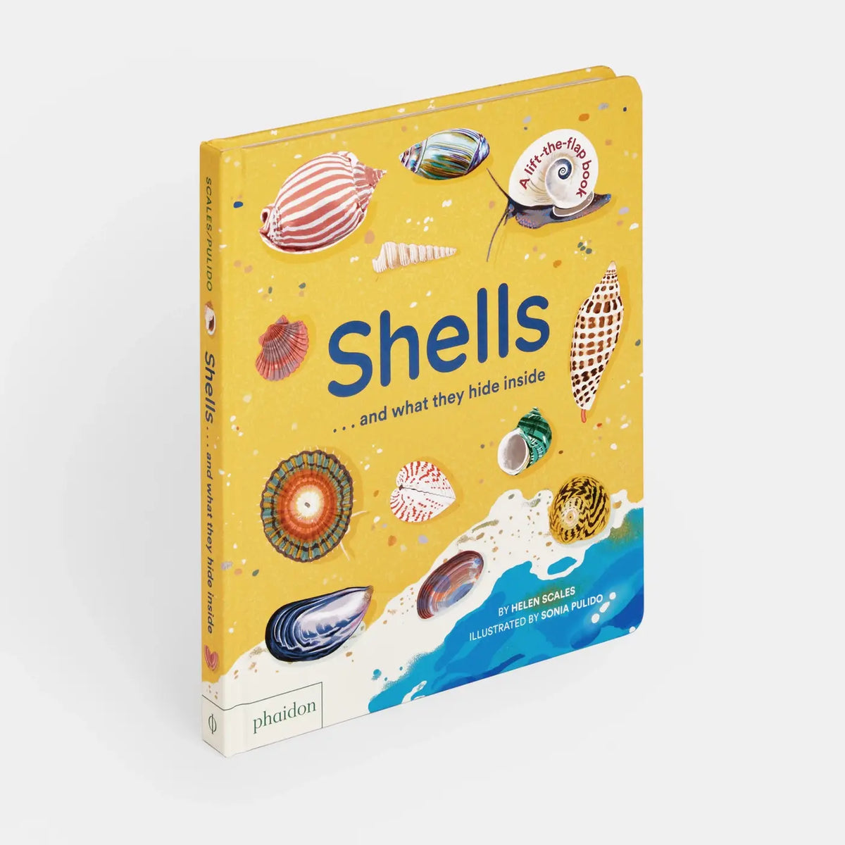 Shells... And What They Hide Inside