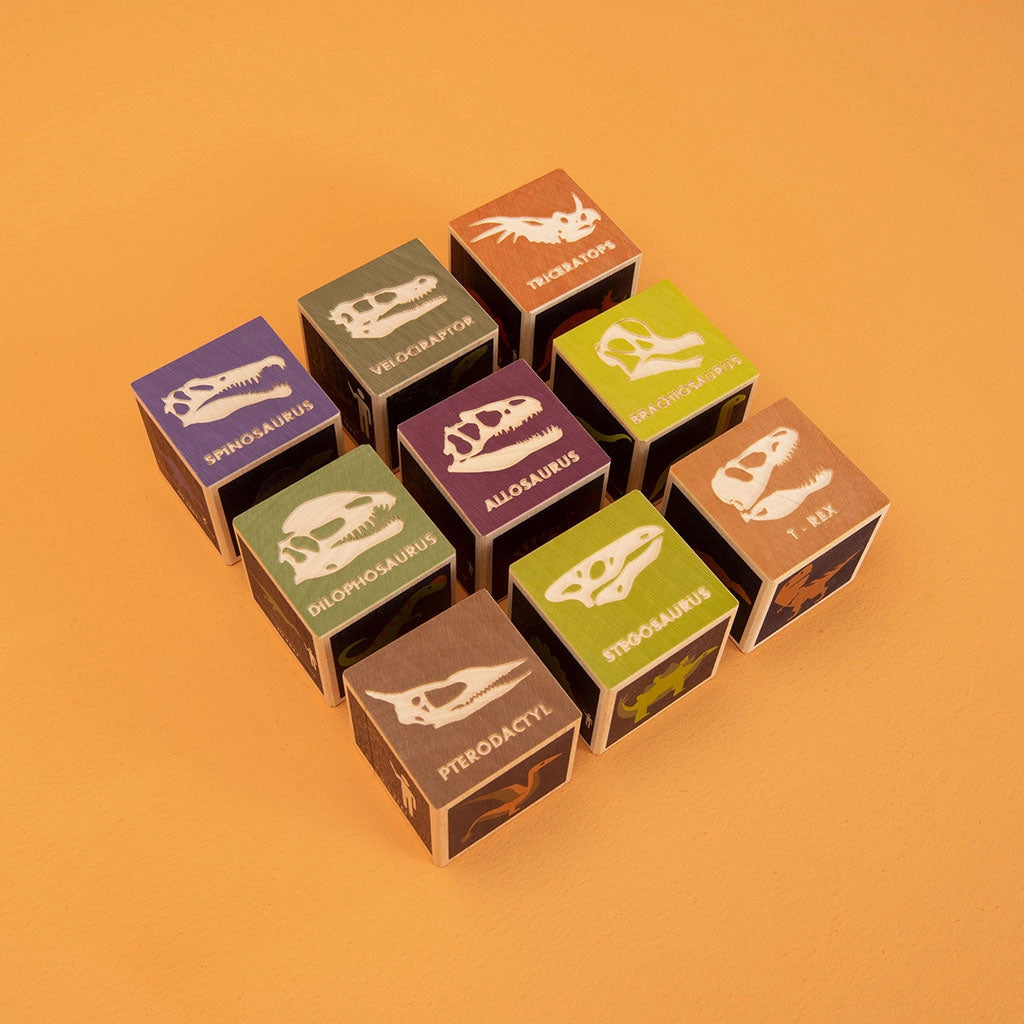 Dinosaur Blocks