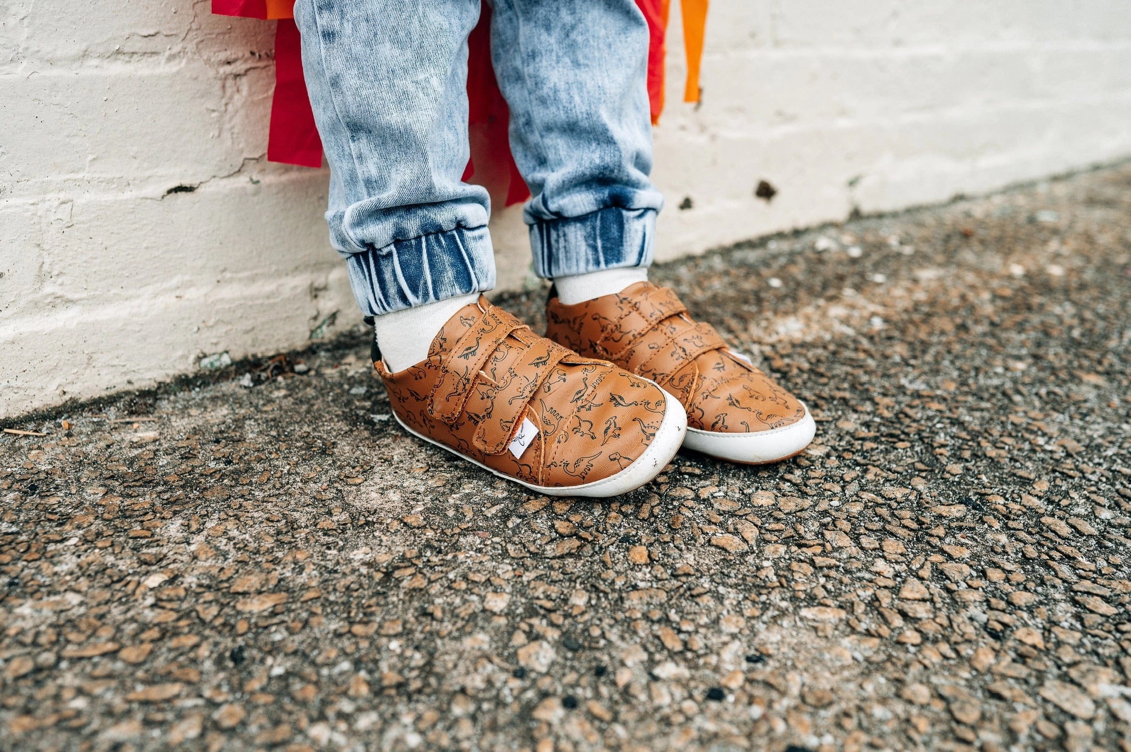 Dinosaur Low Top Barefoot Shoes