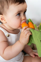 Cathy the Carrot Doudou Teether