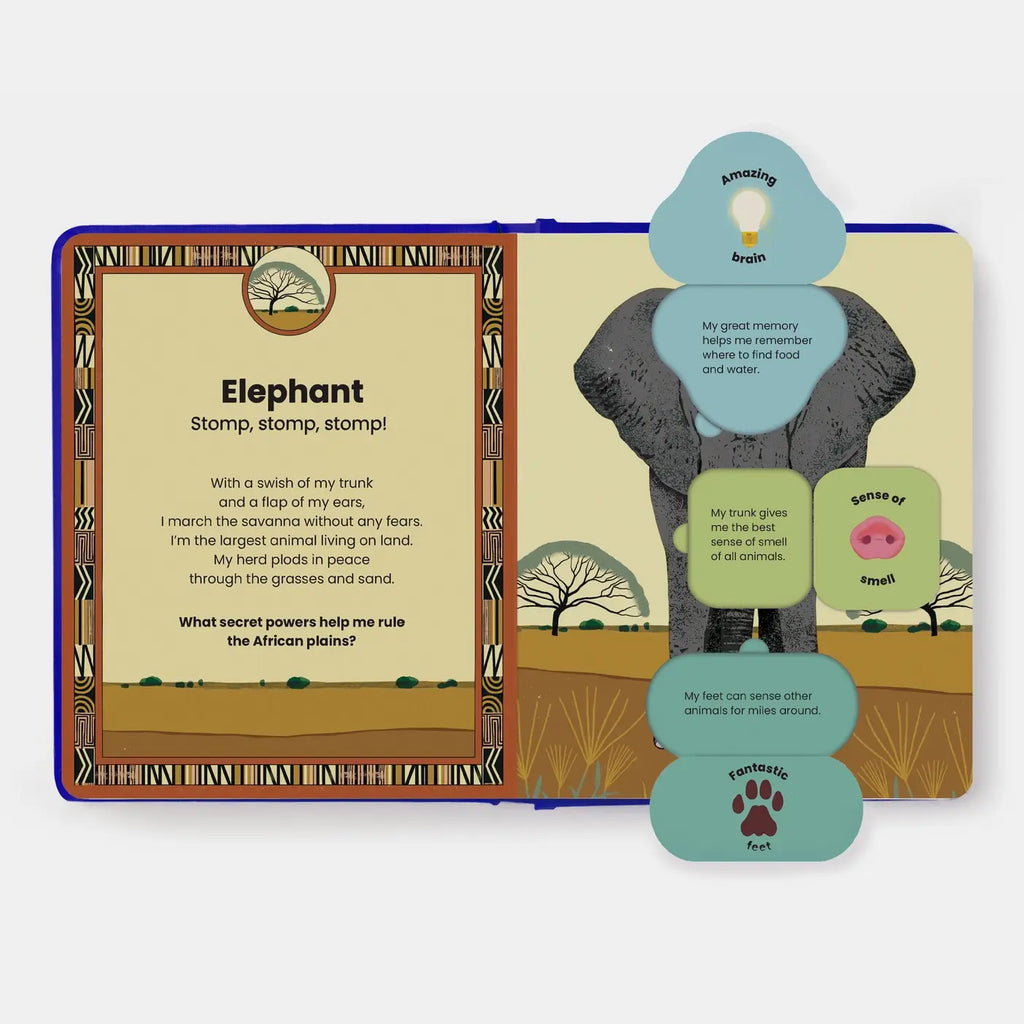 The Secret Powers Of Animals Board Book