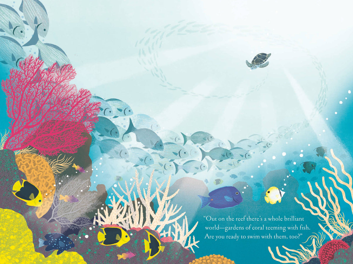 Over and Under the Coral Reef
