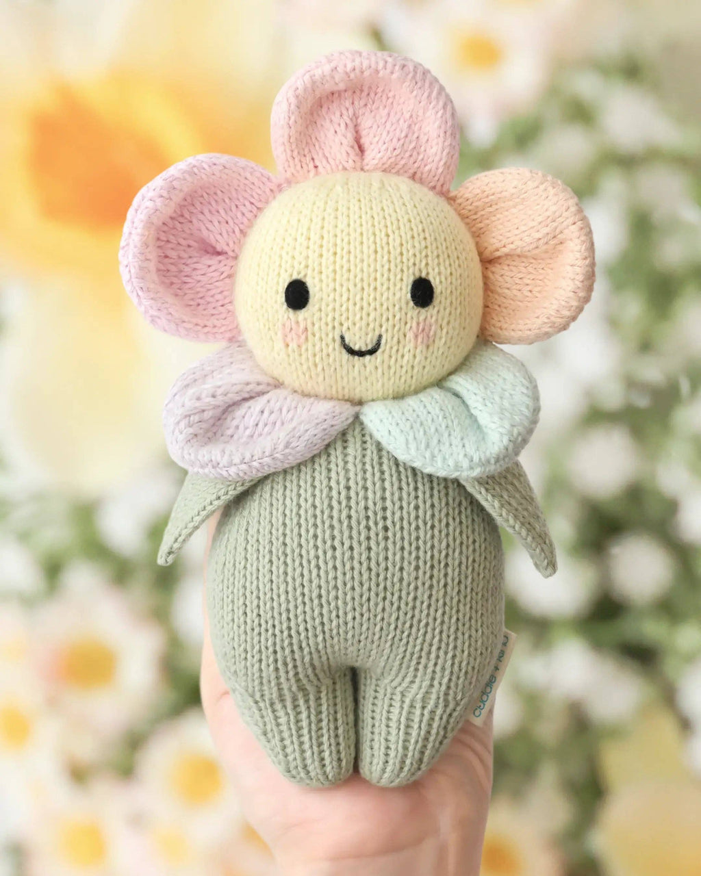 Baby Sunshower Daisy