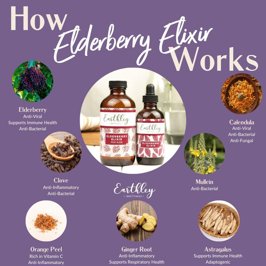 Alcohol Free Elderberry Elixir