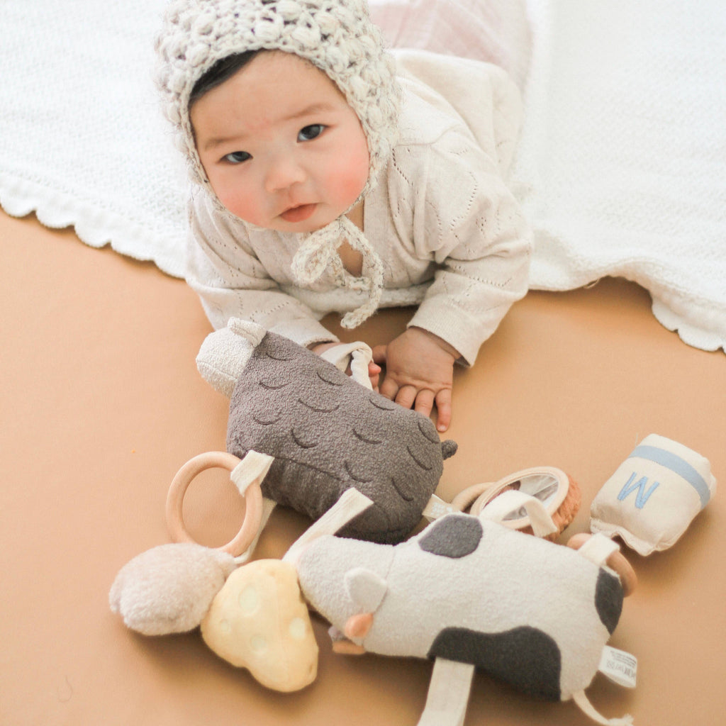 Baa Baa Hanging Toy