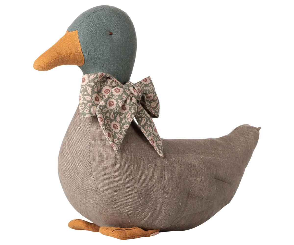 Grey Duck