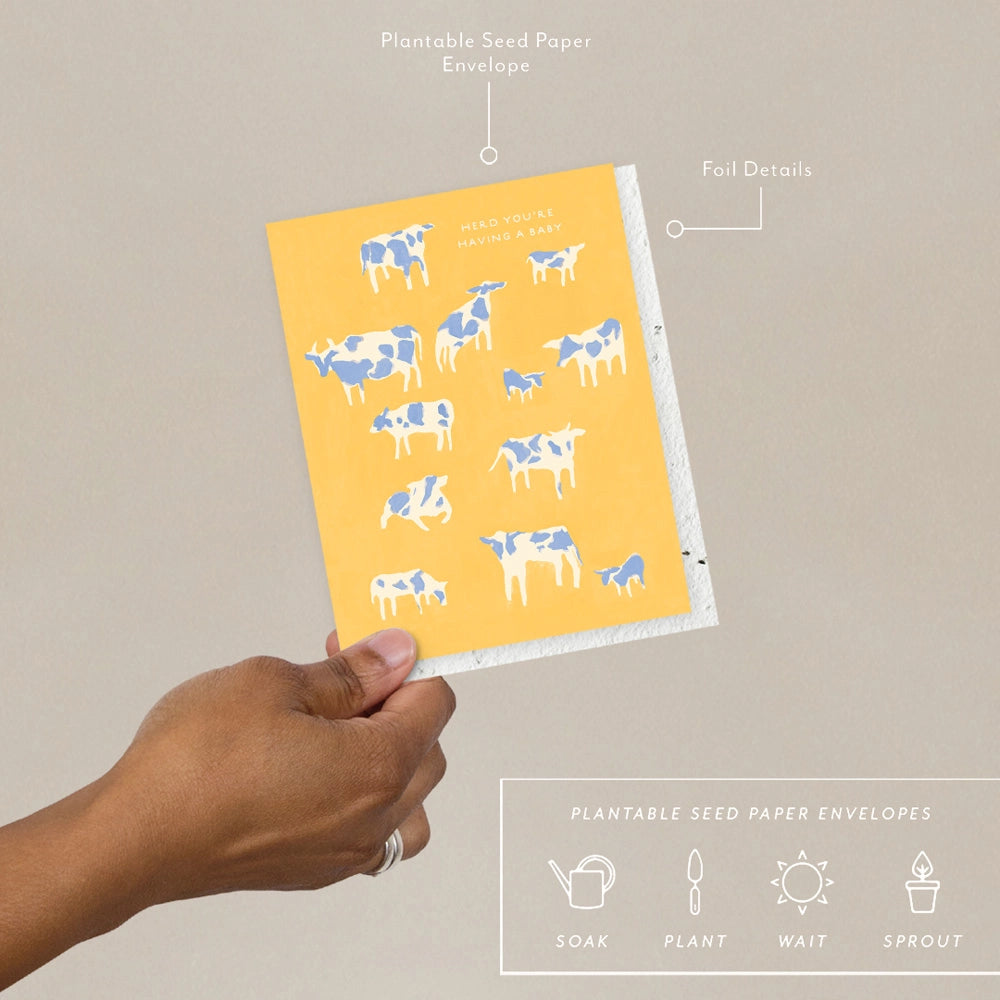 Herd Baby Card