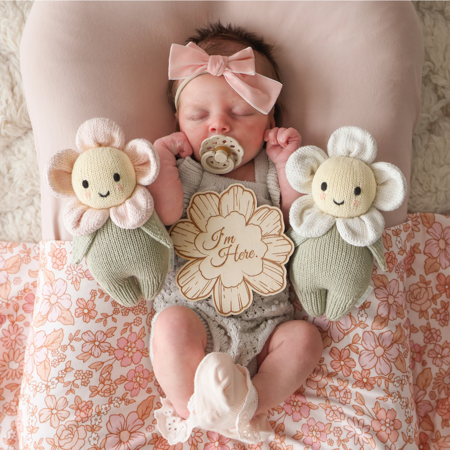 Ivory Baby Daisy